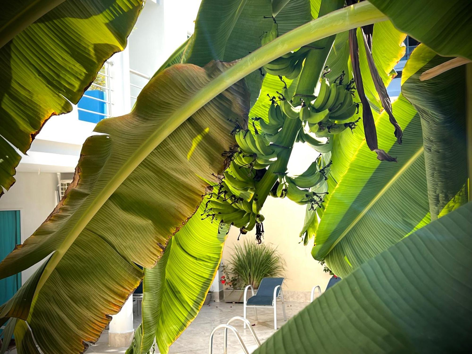 Charme 64 Hotel Boutique Cartagena Bagian luar foto